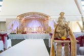 _88A6389   Kajal & Rumit's Wedding : Gujarati, Hindu, celebration, celebrations, ceremonies, ceremony, happy, indian, party, religious, wedding